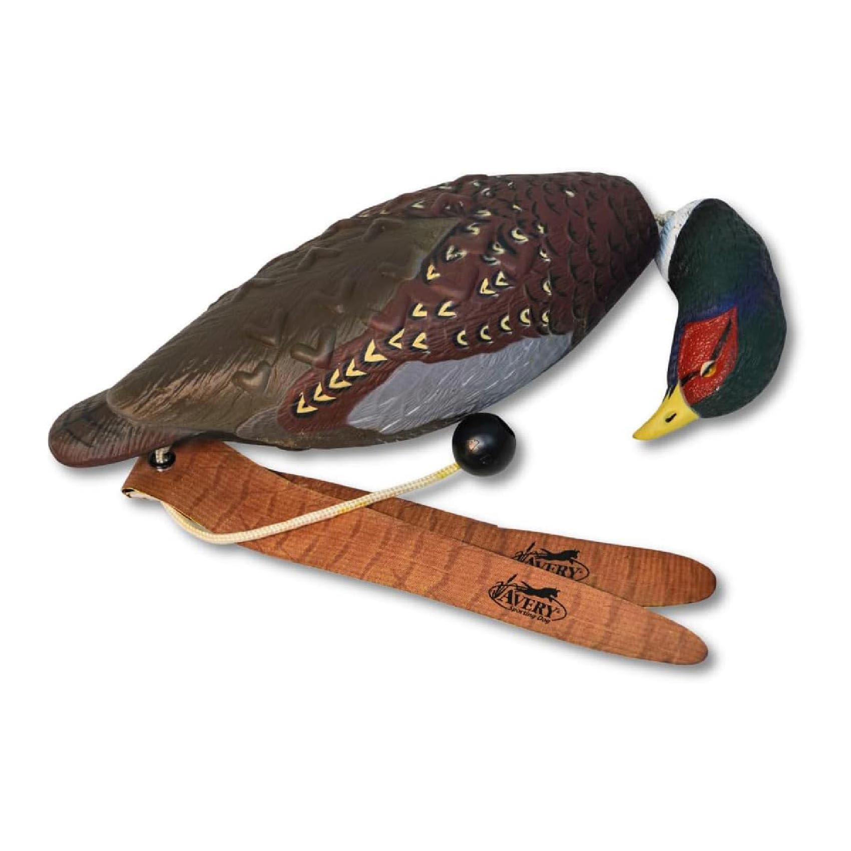 Avery Sporting Dog EZ-Bird, Fasan, Apportierdummy, Jouet pour Chien, entraînement de Chien, Flottant, env. 34 x 16 x 9 cm