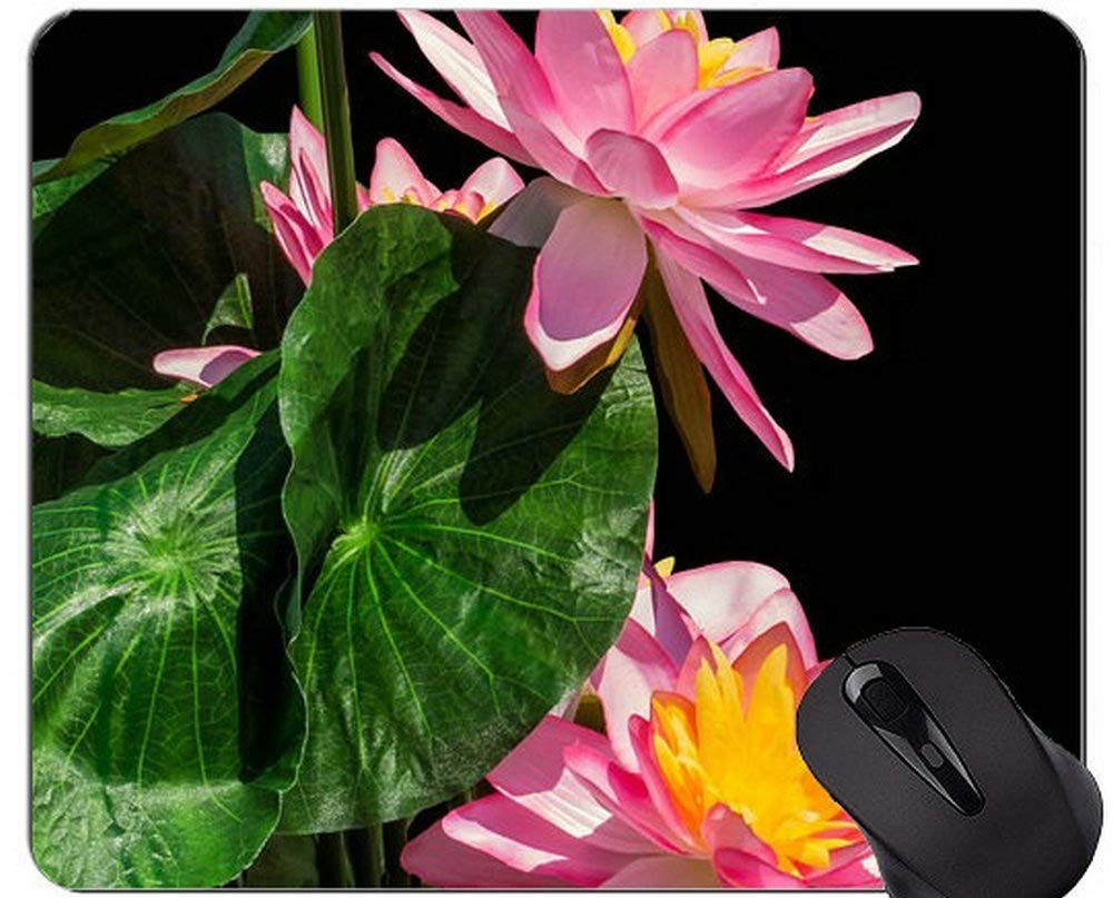 YENDOSTEEN Butterfly Lotus Flower Unique Custom Mouse Pad Mousepad - Lotus Mouse Pads