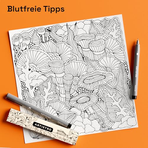 Artistro Fineliner Stifte Set, 2 Stück Schwarz Filzstiften, Tuschezeichner, Fineliner Set, Stifte, Wasserfest Tuschestifte zum Skizzieren, Illustration, Kalligraphie, Zeichnen, Handlettering