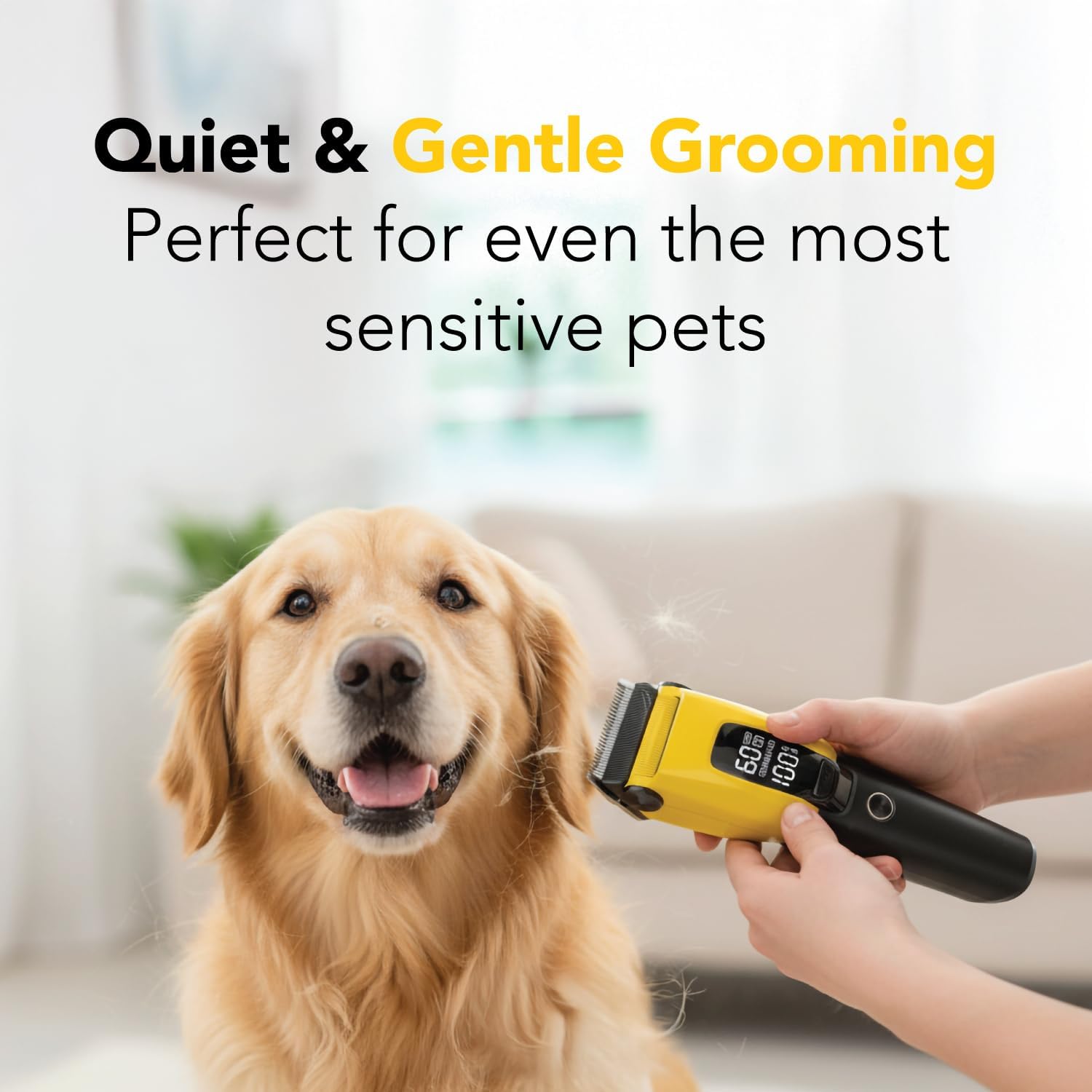 HamInWay Cordless Dog Clippers – Quiet Rechargeable Pet Grooming Clippers for Dogs & Cats – Low Noise Hair Trimmer with Stainless Steel Blade – USB Charging – Professional at-Home Grooming