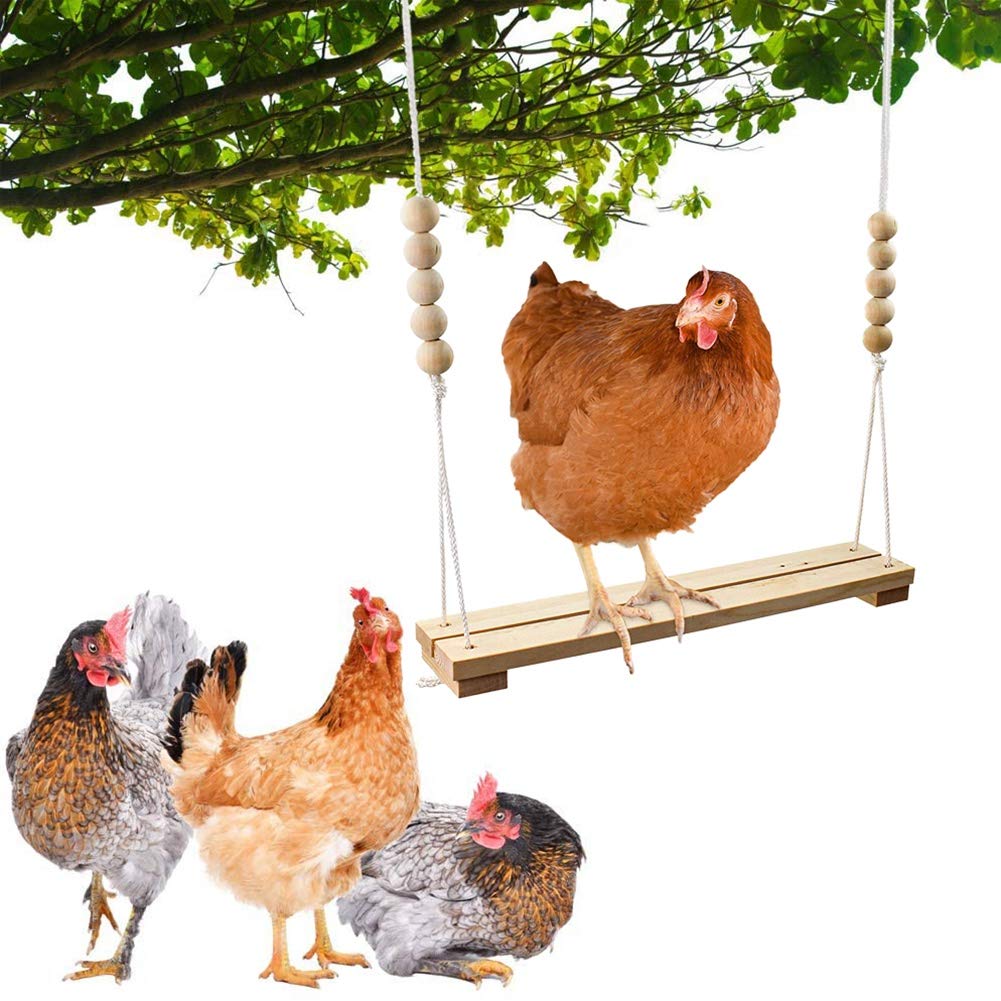 Giocattolo 'Altalena di Pollo per Accessori nel Legno Naturali Sicuri di Pesce Persico Grande e Durevole per Galline da Cortile