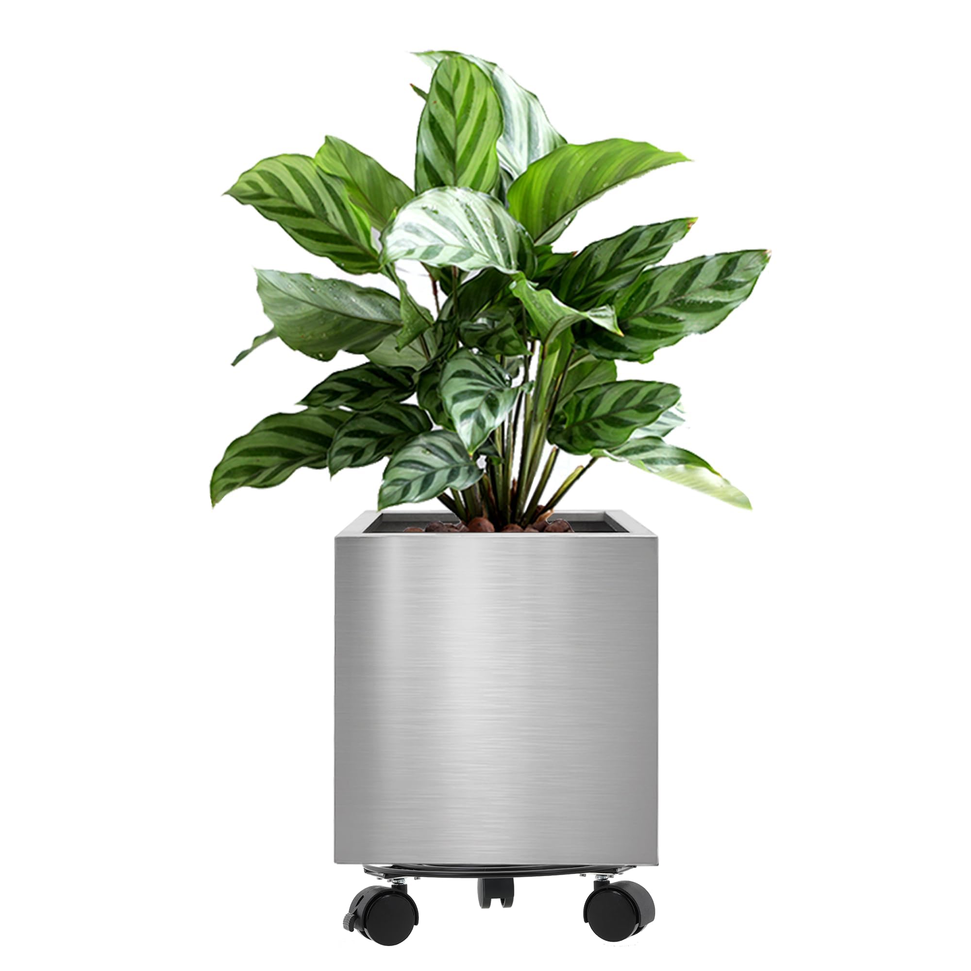 Longrun 30CM Stainless Steel Square Plants Pot, Large Home Patio Décor Gardening Flower Pot, Includes Tray with Universal Wheels