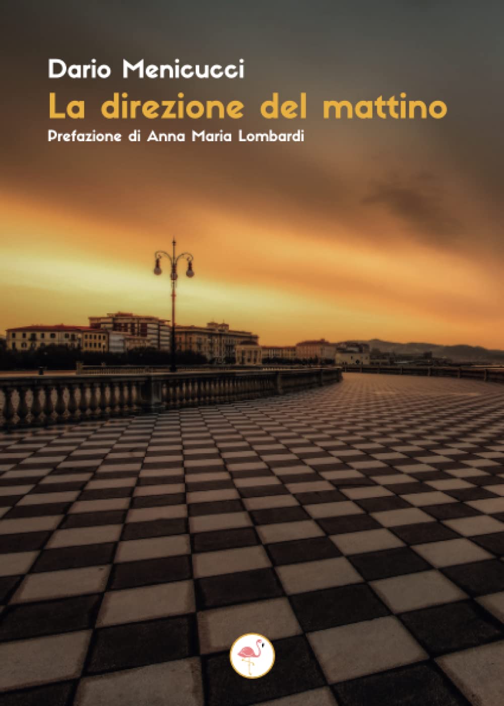 La direzione del mattino (Italian Edition)