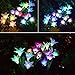 Outdoor Solar Garden Stake Lights - Doingart 2 Pack Solar Powered Lights with 8 Lily Flower, Multi-Color Changing LED Solar Decorative Lights for Garden, Patio, Backyard (Purple and White)