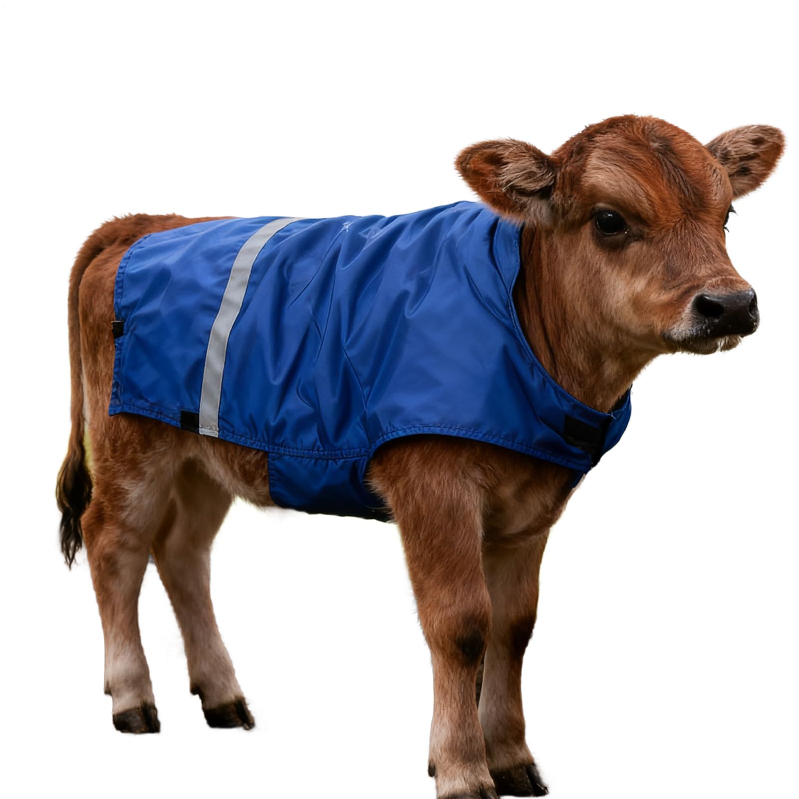 Manta Para Terneros - Ropa De Terneros Con Protección Del Vientre Impermeable Al Viento | Manta Térmica Ajustable Para Ganado,Protección Nocturna Establo Transporte Granja