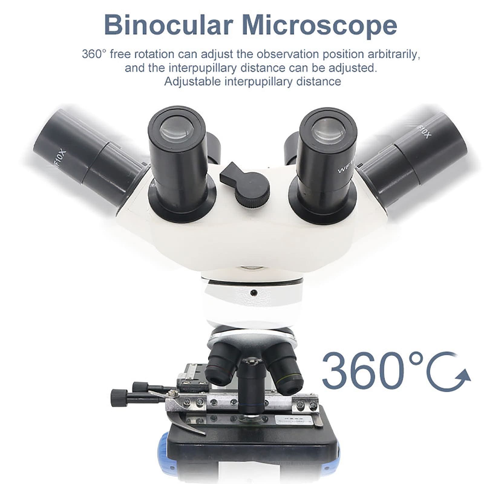 40x-1000x binokulare Mikroskope, professionelles zusammengesetztes Mikroskop mit 25x 10x Weitfeld-Okularen, Handyhalter, für erziehungswissenschaftliches Labor