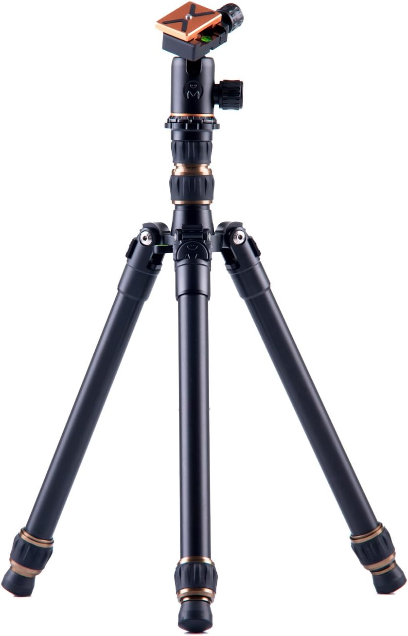3 Legged Thing Punks - Rick Carbon Fiber Tripod & Airhed (A6-33JD-EO2Z)