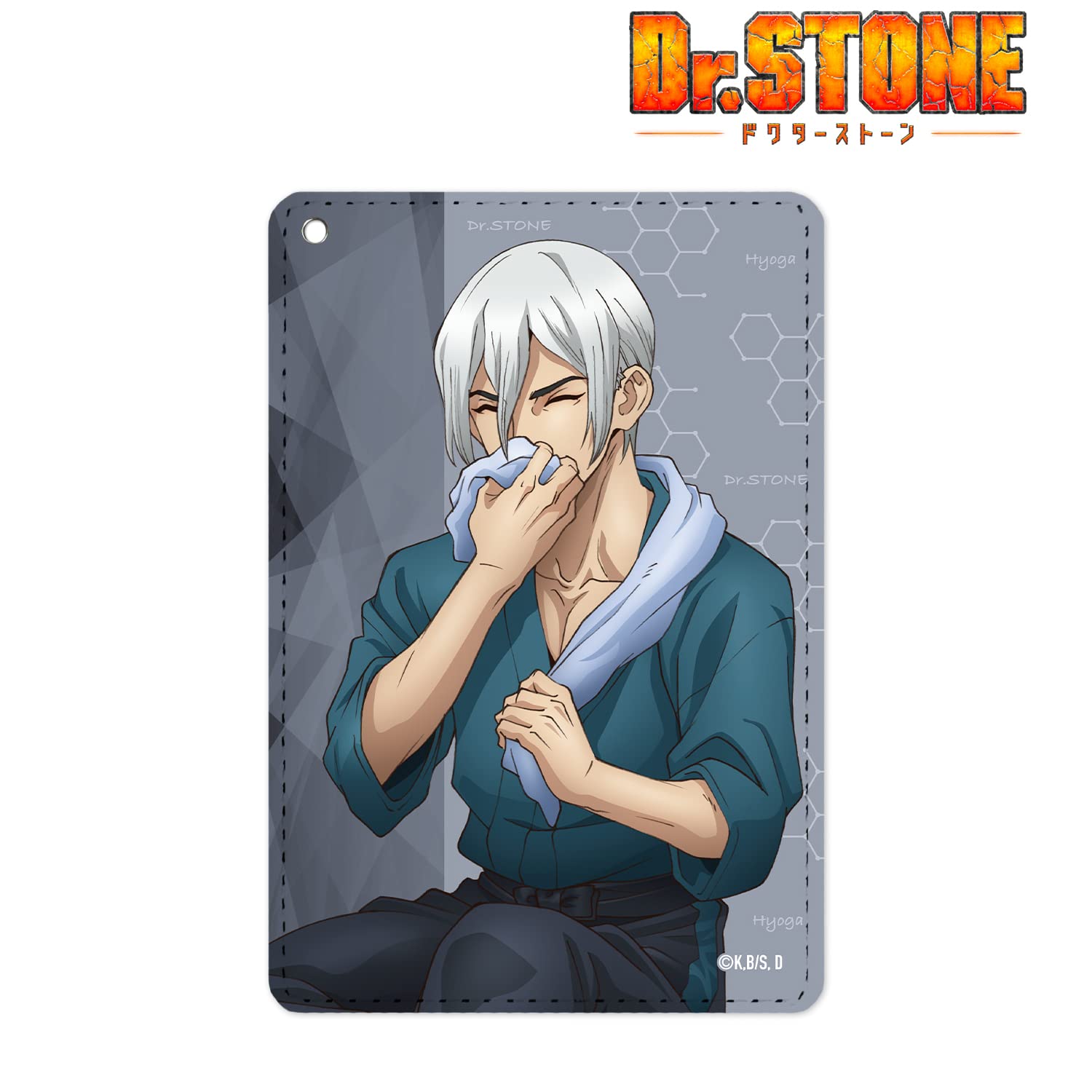 Amazon.co.jp: Dr.STONE 描き下ろしイラスト 氷月 石化前ver. 1