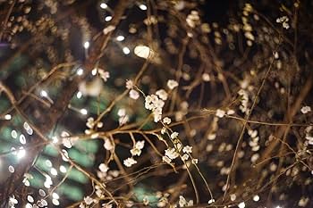 HELIOS 44M-5 58MM F2 ロシアレンズ for Canon EOS用 レアセット Amazon.co.jp: HELIOS 44M-5 58MM F2 ロシアレンズ for Canon