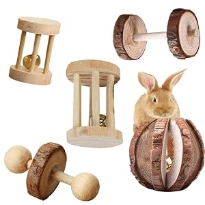 5 Pcs Hamster Chew Toys, Natural Wooden Chew Toy Set with Bell for Teeth Grinding, Dumbbell Roller Unicycle Molar Ball, Small Animals Toys for Rabbit Guinea Pig Chinchilla Gerbil Bird