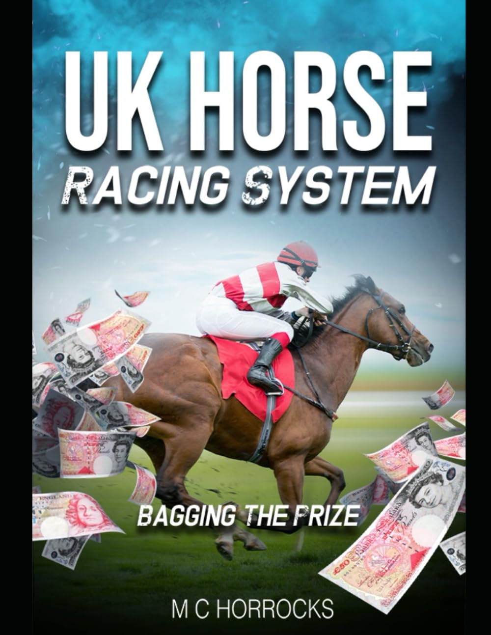 UK Horse Racing System Bagging The Prize