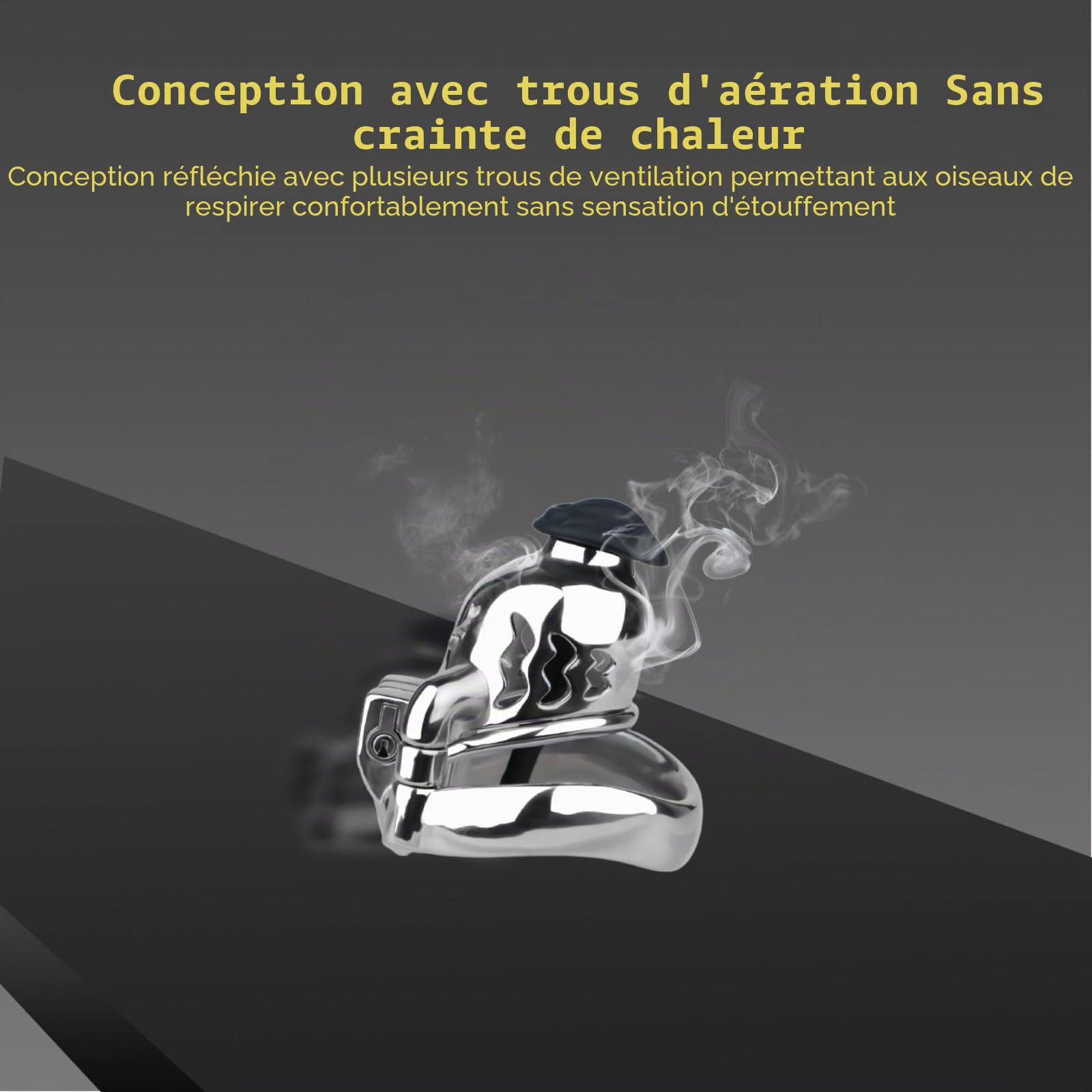 Cage Chastetée en Métal avec Cathéter en Silicone Cage de Chasteté pour Pénis avec Anneau Antidérapant et Ceinture Sex Toys Chastity Cage avec Serrure pour Immobiliser le Pénis d'un Homme (A,50mm)