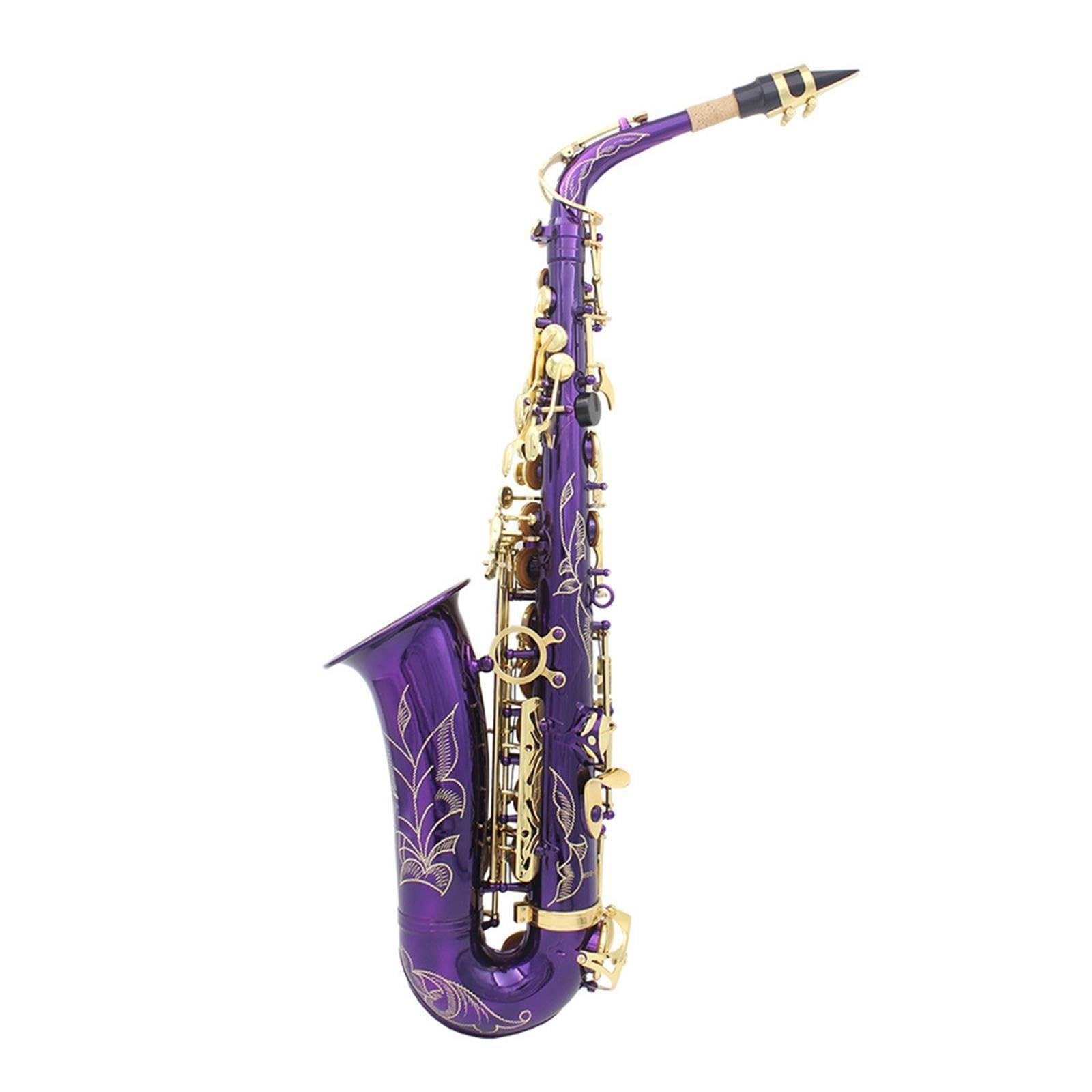 Saxofón Rendimiento Del Examen Calificado De Saxofón Alto En Mi Bemol