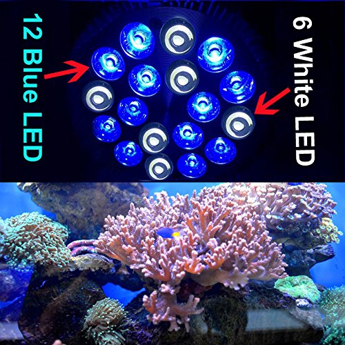 Generic 6white3e RAYWAY E27 Pa38 12e 6white LED Aquarium Light Bulb