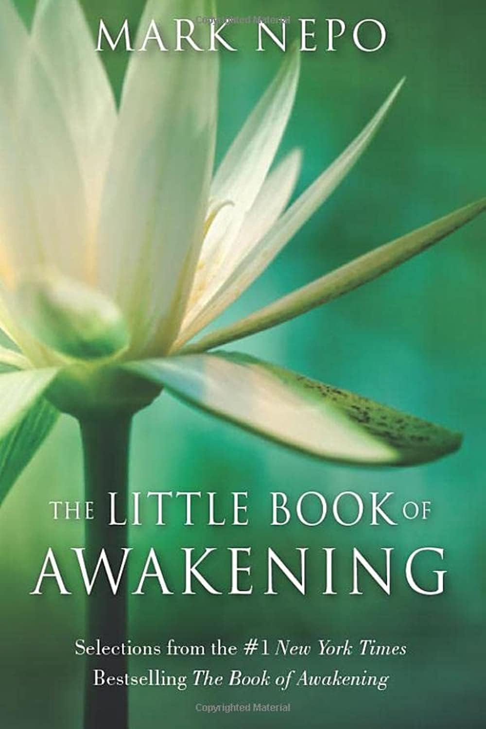 The Little Book of Awakening: Selections from the #1 New York Times Bestselling The Book of Awakening Hardcover โ September 1, 2013