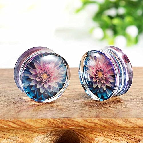 Miniatura 7 de TBOSEN Juego de 16 unidades de túneles de madera de acrílico mixto de acero inoxidable, tapones y túneles de orejas, dilatadores expansores de