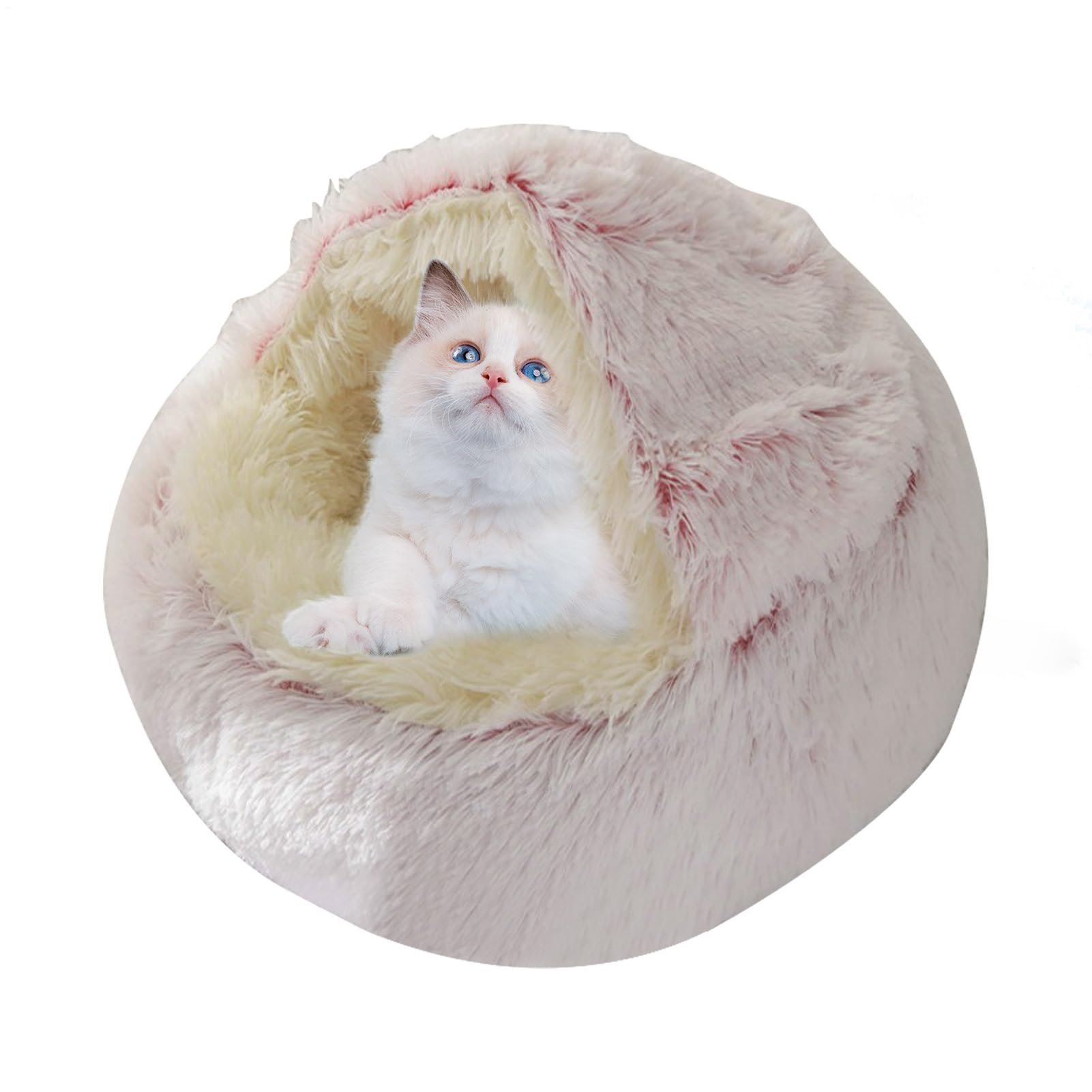 Cuccia per gatti | per gatti chiuso e calmante per animali di | piccola taglia – Cuccia per gatti lavabile in lavatrice soffice cuccia per gatti rimovibile per cani di grossa taglia, gattin