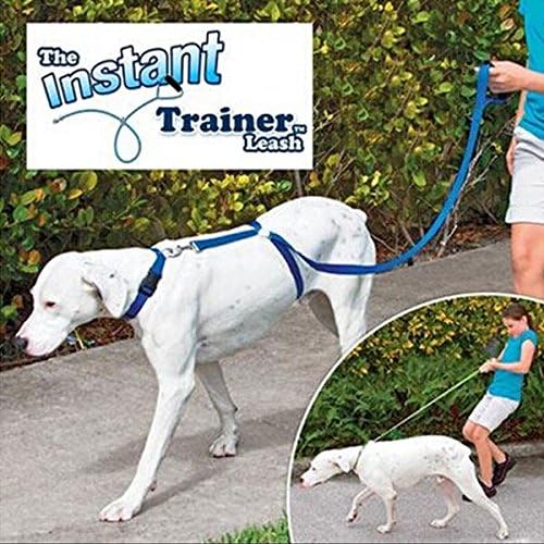 instant trainer dog leash