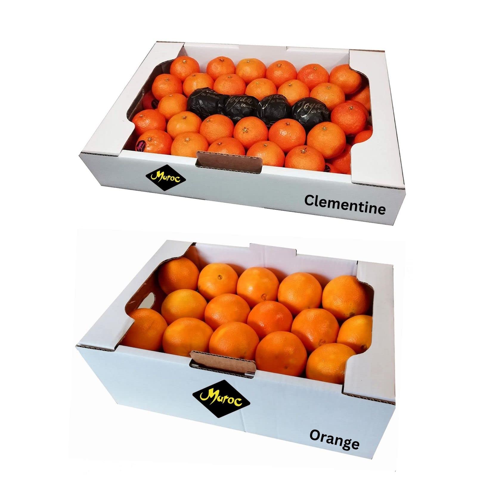 FRUCHTVERSAND24® Original-Kisten Mischung "XL", Maroc Orange 15kg + Maroc Clementine 10kg, Original Maroc Südfrüchte, süß saftig lecker