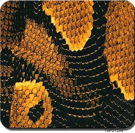 Wassertransfer Sticker Hydrographics Film 10 Meter Breite -WassertransferdruckHydro-Tauchfilm-Tierhaut-Textur-Multi-Color Optional Dekorative GegenstAnde Color TSPD1208 Size 1mx10m Wassertransfer Sticker Hydrographics Film 10 Meter Breite -WassertransferdruckHydro-Tauchfilm-Tierhaut-Textur-Multi-Color Optional Dekorative GegenstAnde Color TSPD1208 Size 1mx10m