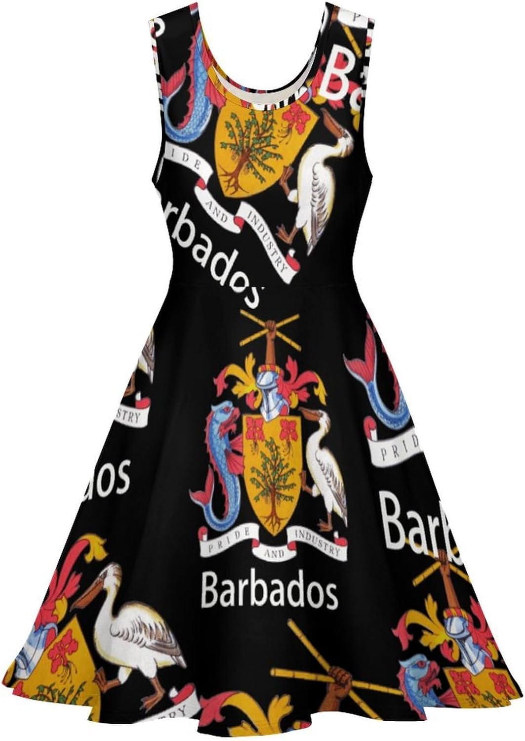 Bajan Flag Jersey Barbados Barbadian Flags Summer Dresses for Women Sleeveless Beach Sundress