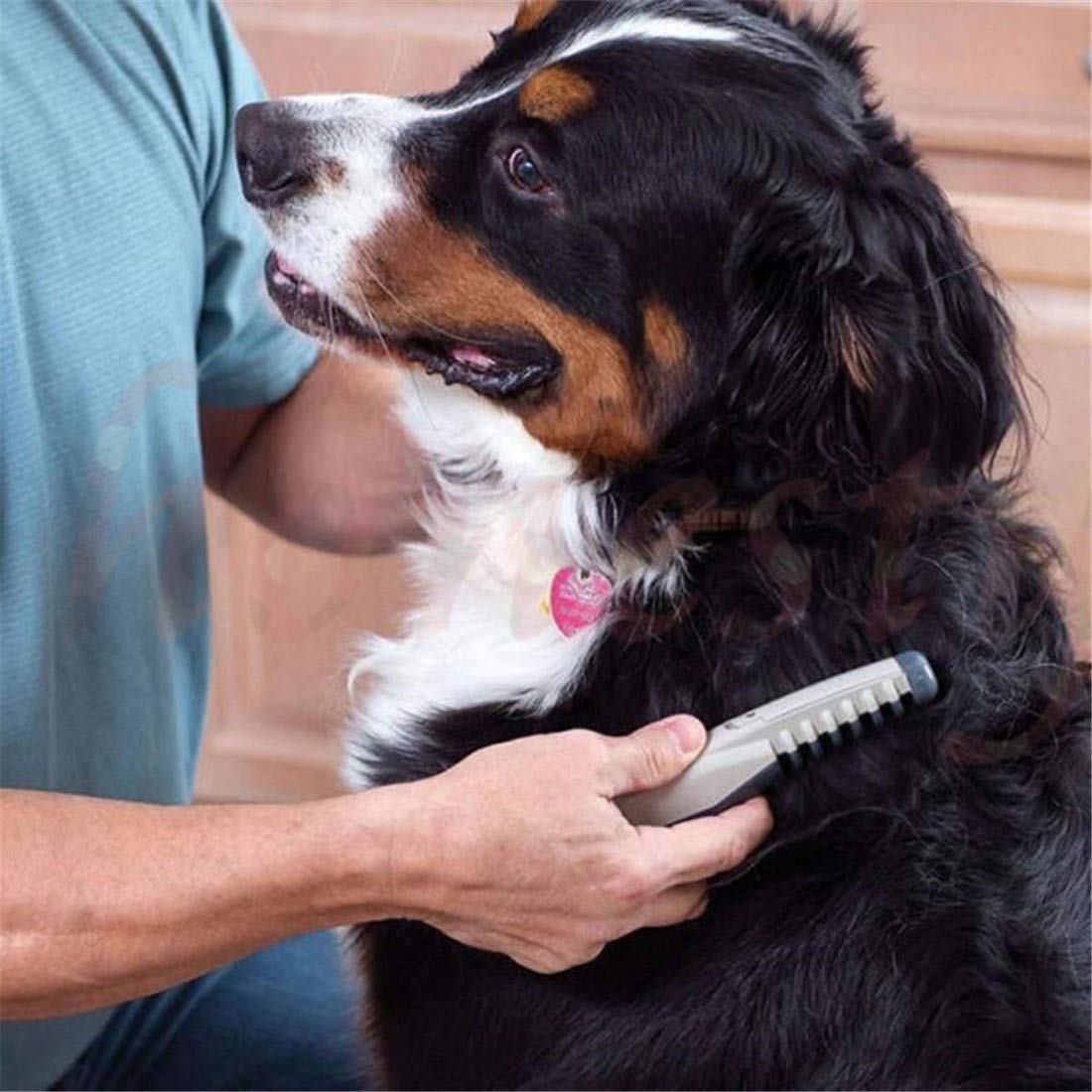 See full amazon price history chart for Cpixen Automatic Electric Pet Grooming Comb Removes Tangles, Knots, Dead Hairs for Dog & Cat | Battery Operated Cpixen Automatic Electric Pet Grooming Comb Removes Tangles, Knots, Dead Hairs for Dog & Cat | Battery Operated (B082NND2SN) Amazon Price History, Amazon Price Tracker