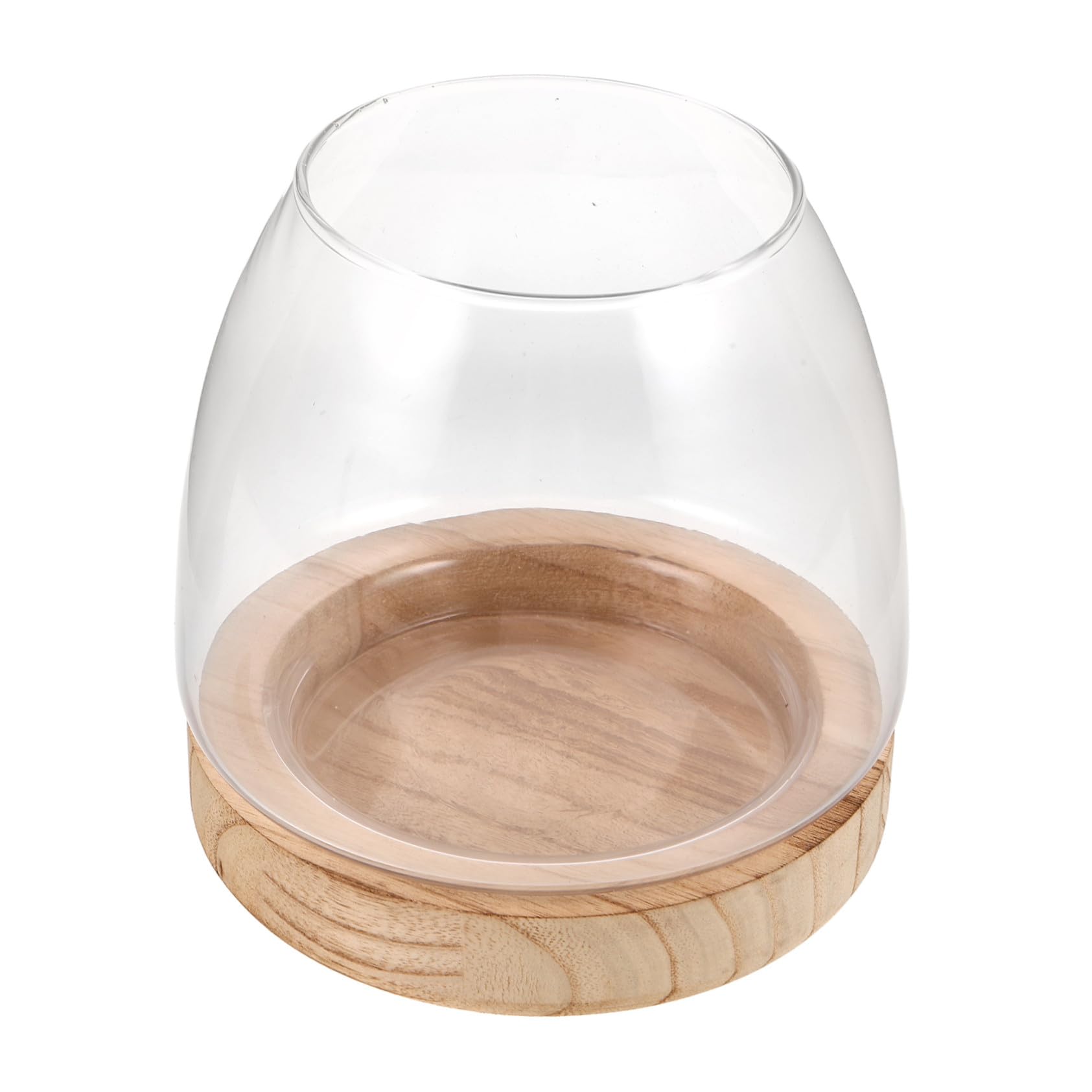 Vase Hydroponique en Verre avec Base en Bois pour Boutures