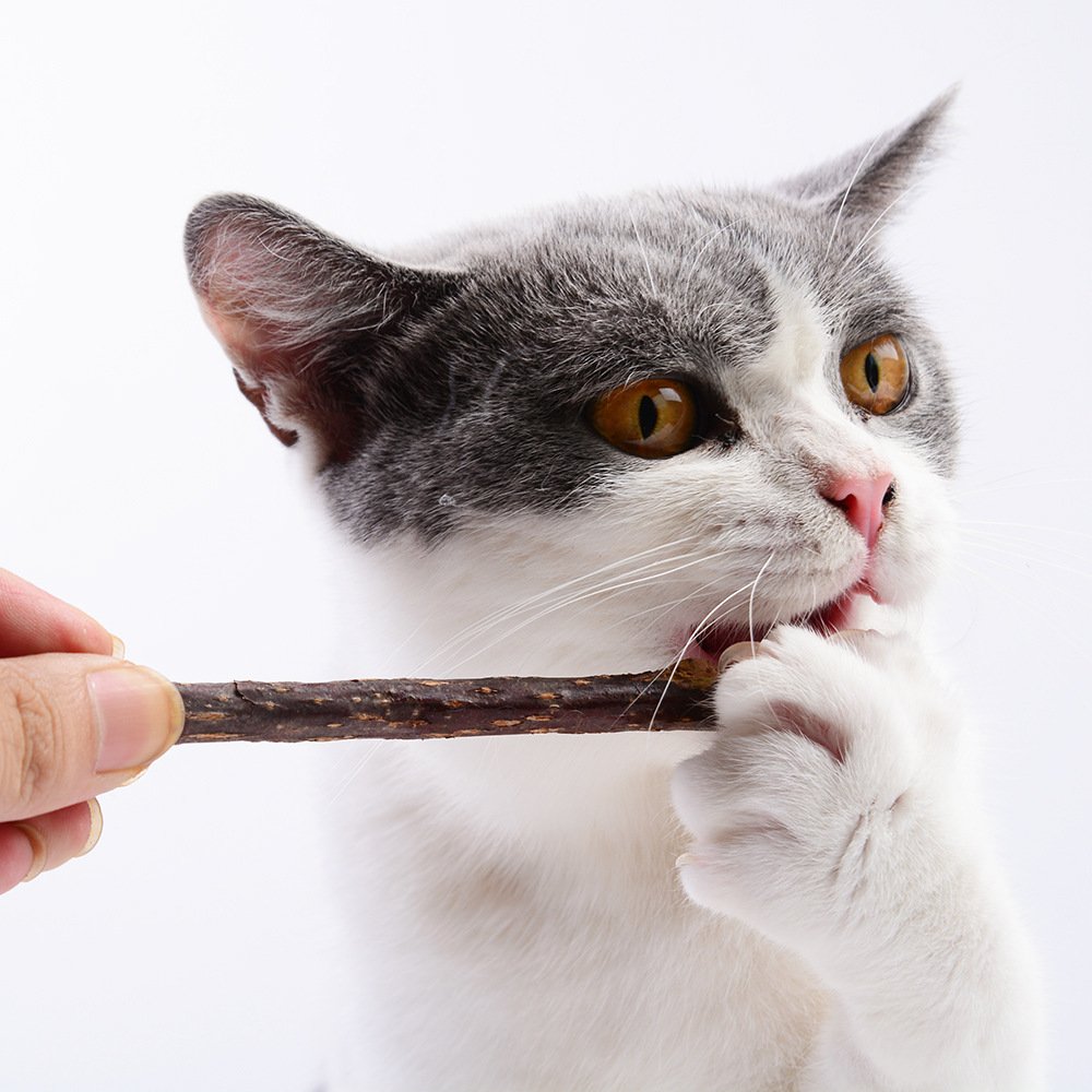 Glirop 6 stuks kattenkruid speelgoed voor katten, kauwspeelgoed kat interactief kinderziektetouw, kat tandheelkundige zorg speelgoed voor tandheelkundige kauwsticks slechte adem gezonde gewoonte