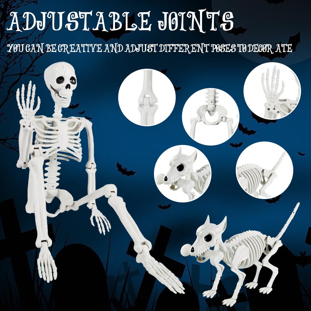 JOLCEEY 1 scheletro mobile per Halloween, 90 cm, realistico, ossa di scheletro umano, articolazioni mobili per tutto il corpo, con scheletro di cane a 1 testa, per oggetti di scena di Halloween
