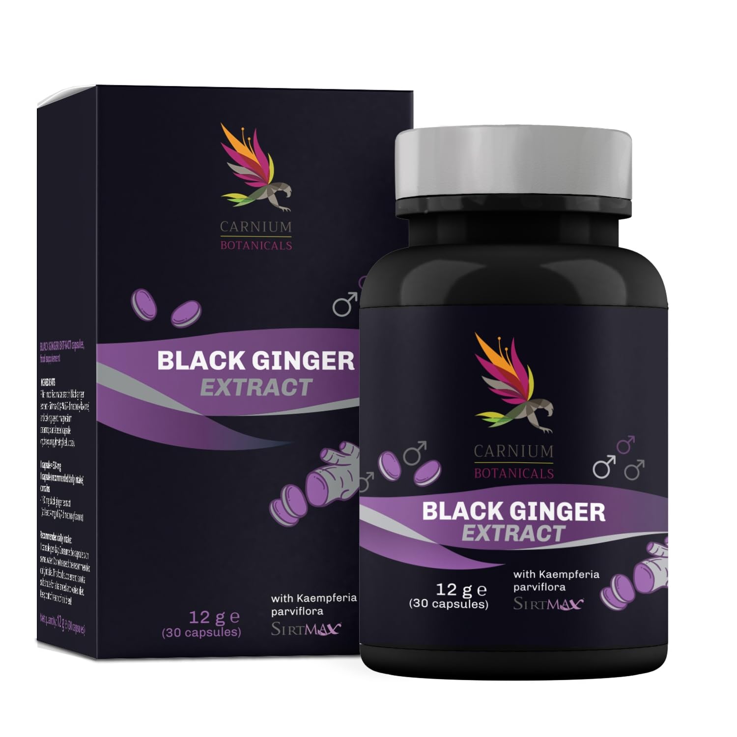 Carnium Botanicals Black Ginger Extrakt, 30 Kapseln | Vegane Ingwer Kapseln, Glutenfrei, Laktosefrei, Bio Ingwer Extrakt