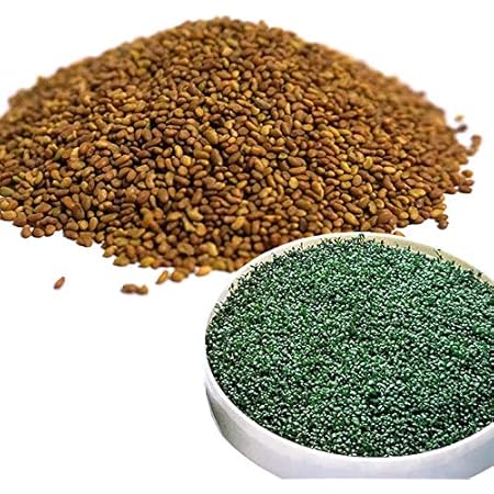 Amazon アルファルファ 種 250g スプラウト 高品質 業務用 オーストラリア産 野菜