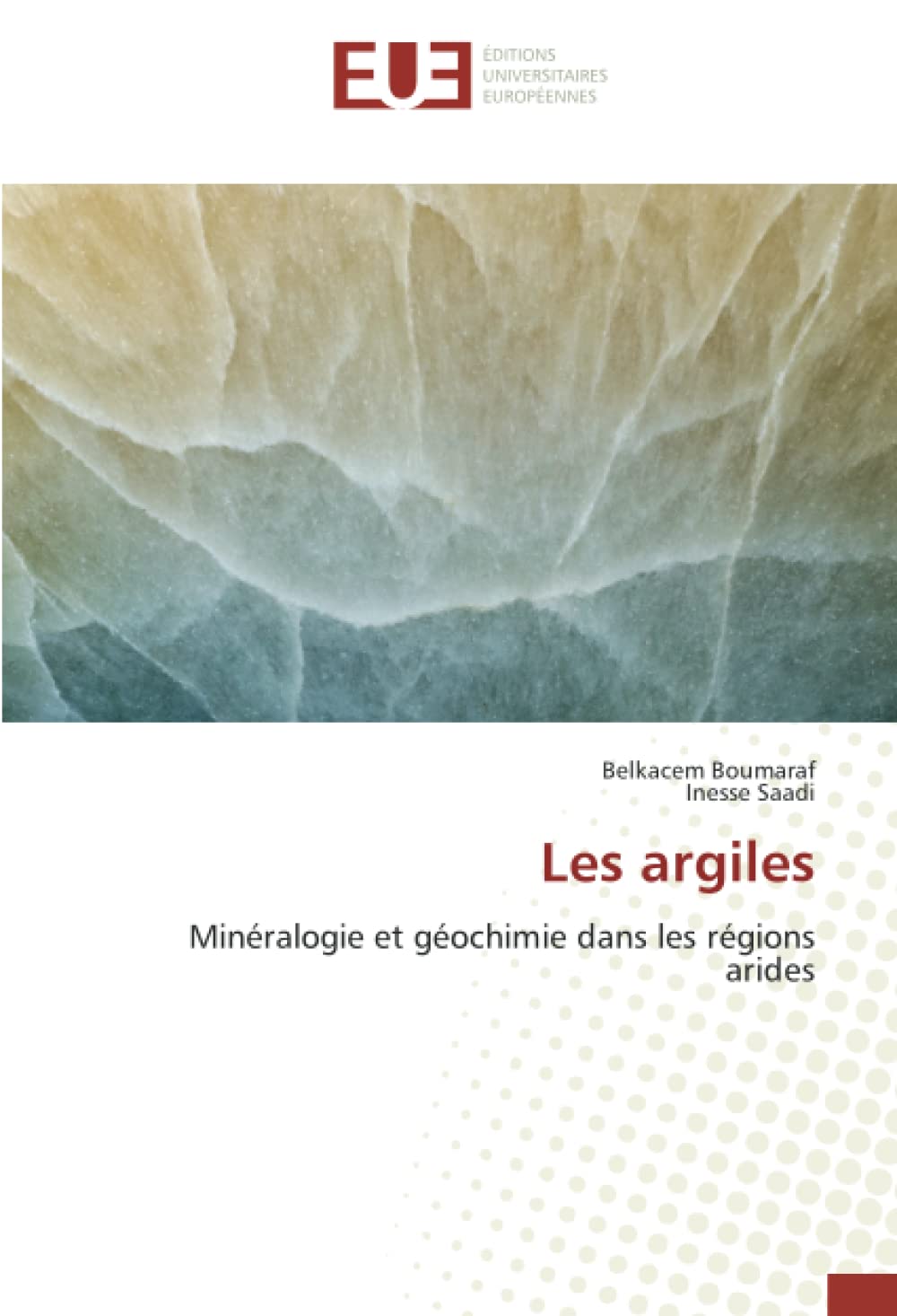 Les argiles: Minéralogie et géochimie dans les régions arides (French Edition)