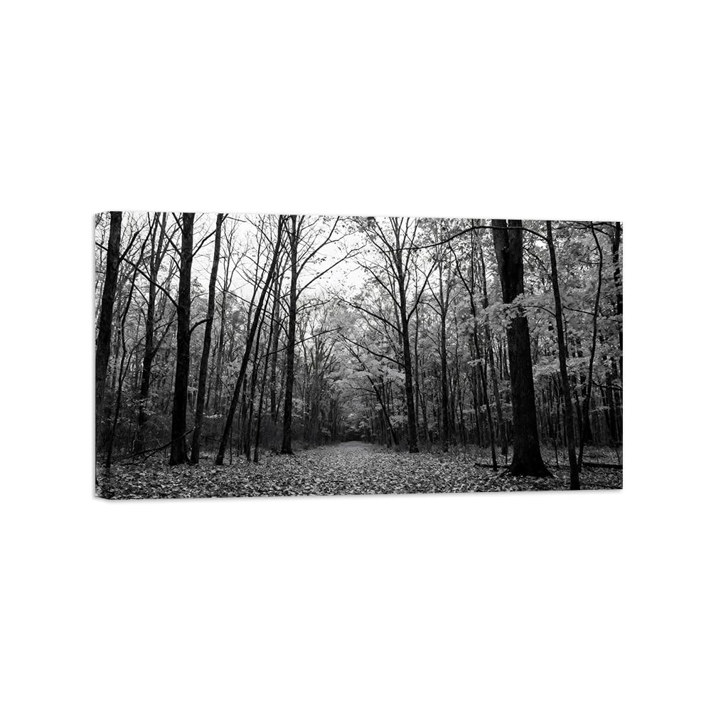 OZPWBVY Forest Flowers Black White Landscape Wall Art Prints 20x35cm Framed