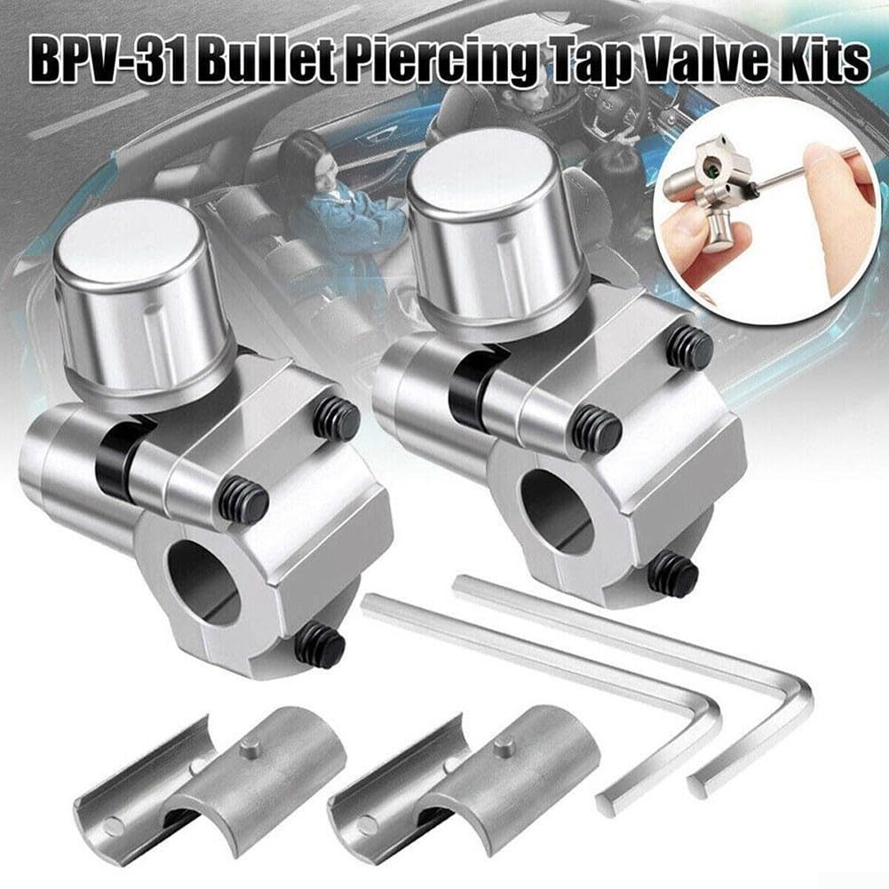 Confezione da 2 kit di valvole per rubinetto BPV31 compatibile con tubi di diametro esterno da
