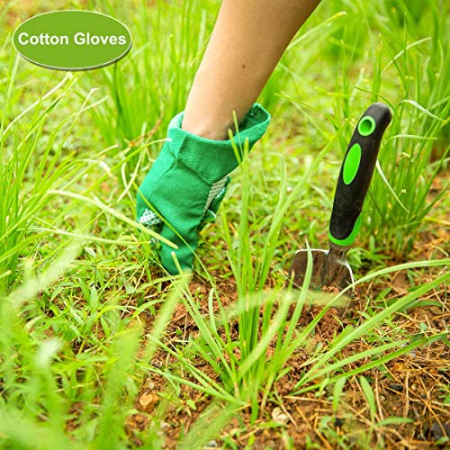 Crenova 10 Piece Garden Tools Set-Gardening Tools,Pruning Shears,Garden Gloves,Garden Tote,Kneeling Pad and Garden Sprayer.Add 3 Free Piece Mini Gardening Tool Set.Best Gift for Women and Men.