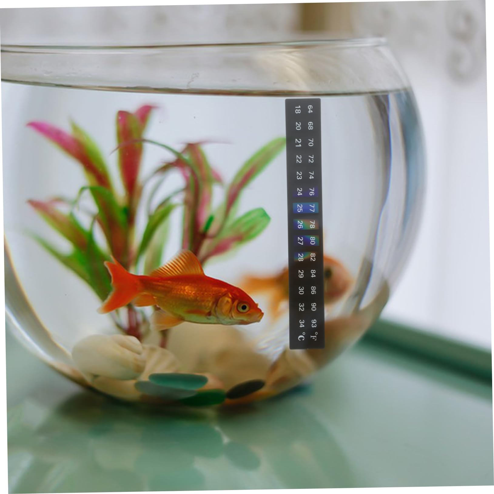 ifundom Digital Aquarium Thermometer Sticker Set 18-34° Stick for Fish Tank Wine Jar Random Style