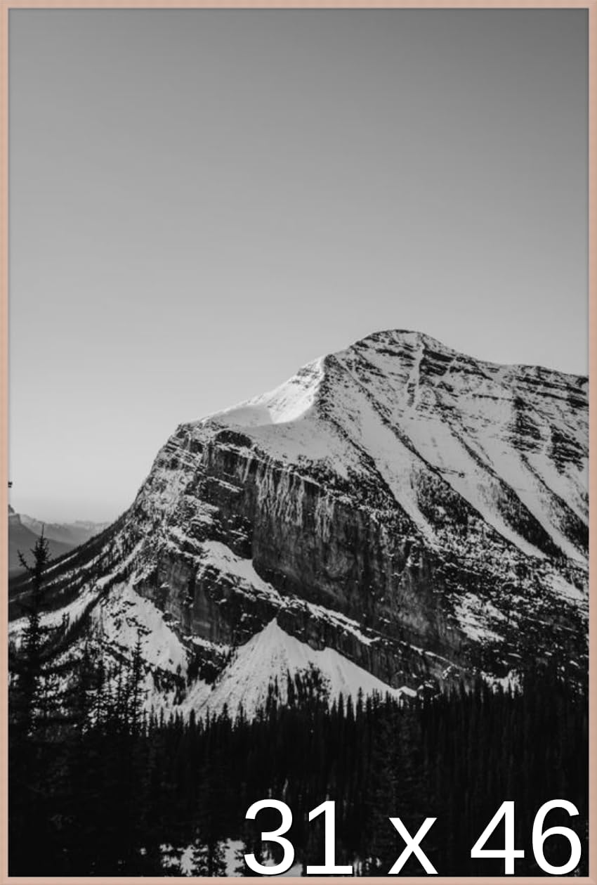 Frame It Easy 31 x 46 Satin Black Metal Frame (Ashford)