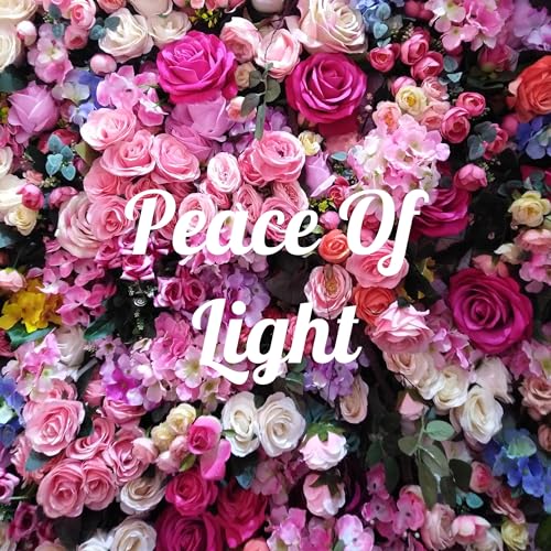 Couverture de Peace Of Light