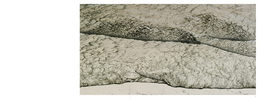 Richard Misrach Notations /anglais
