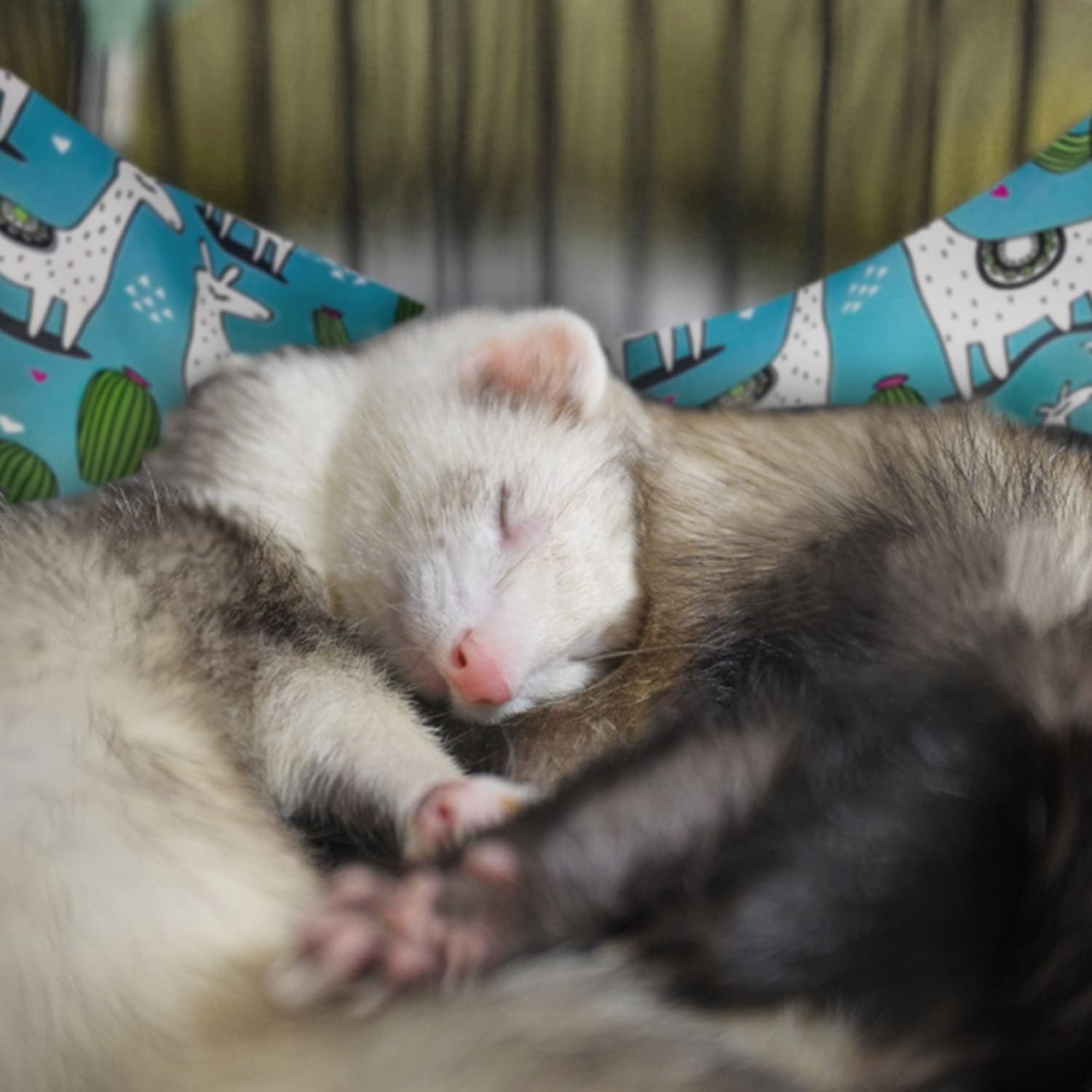 RAYFARMO Ferret Rat Hammock with Waterproof Pattern,Chinchilla Hamster Hammock for Cage,Small Pet Cage Accessories