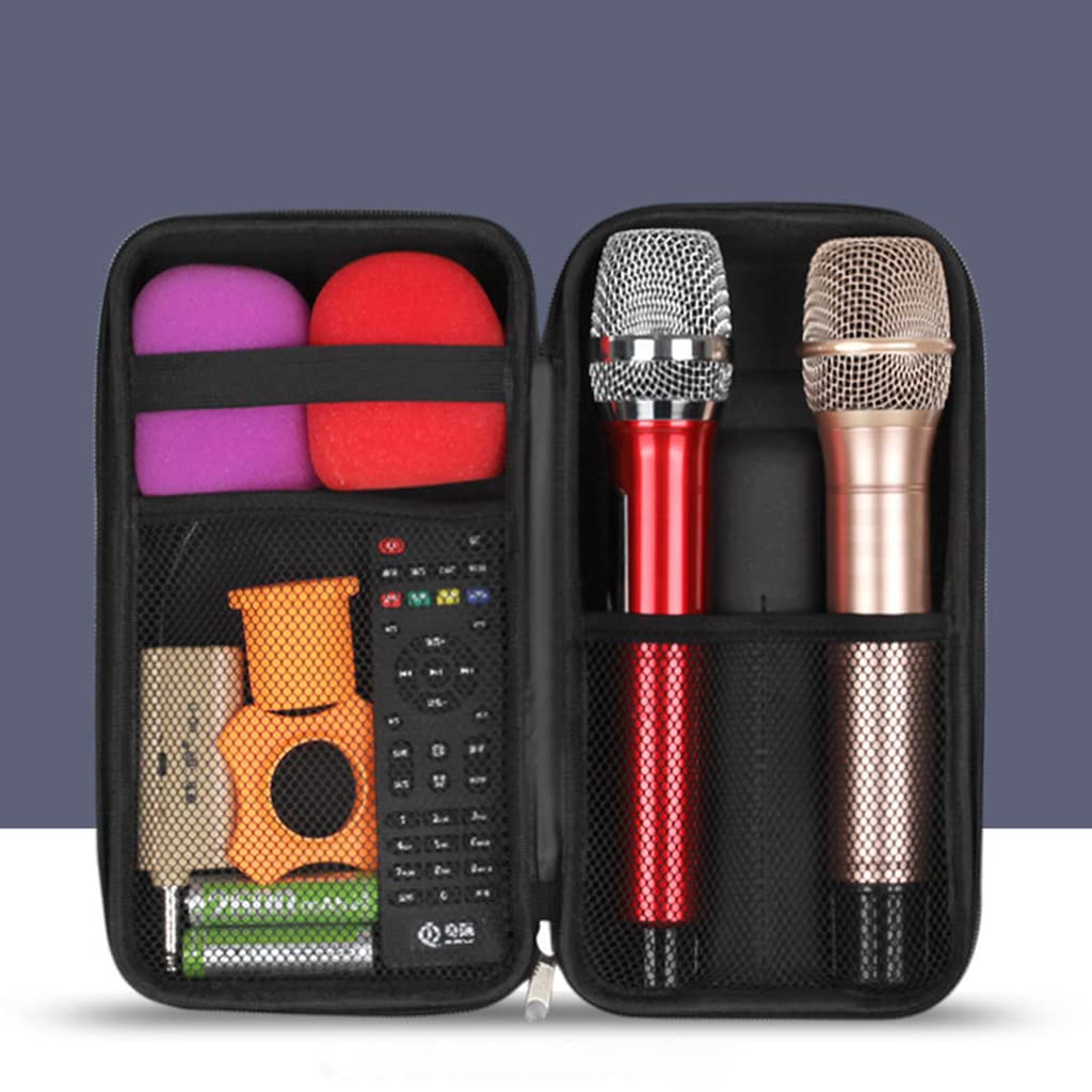 Boîte de rangement microphone, boîte de stockage à double microphone, boîte de protection des microphones, position précise de la carte, robuste et durable, résistant aux chocs de décompression
