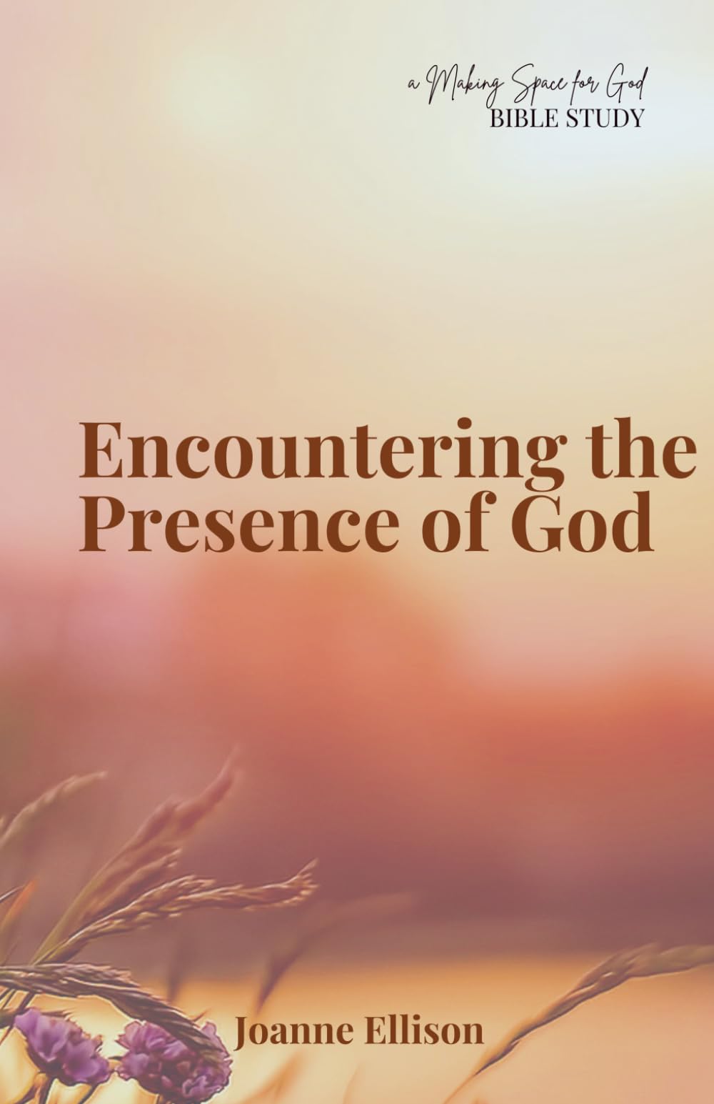 Encountering the Presence of God (Making Space for God Bible Study)