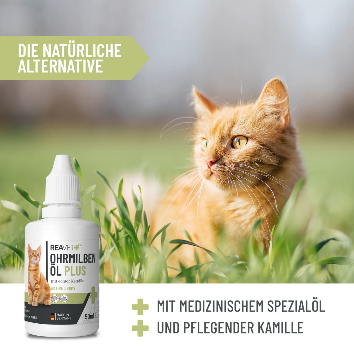 ReaVET Aceite para Ácaros de Oído Plus 50ml - Tratamiento rápido para Gatos contra ácaros de oído, con manzanilla, Alivia la picazón y Limpia Suavemente los oídos. Gotas para oídos y Limpiador