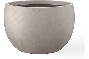 Sturdy Cement Planters for Indoor Plants: Kante 15.7" Dia Round Concrete Bowl with Drainage
