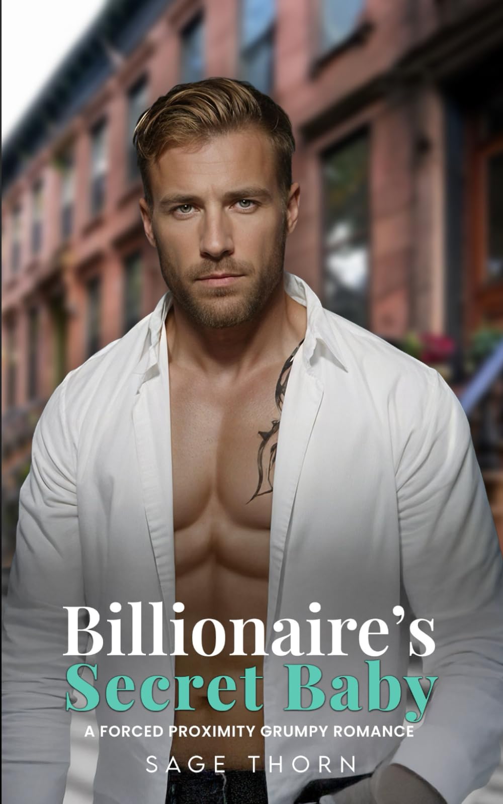 A Billionaire's Secret Baby: A Forced Proximity Grumpy Romance