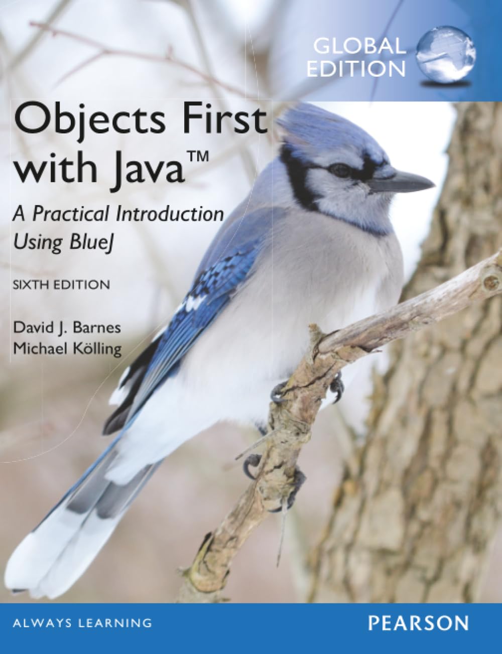 Objects First with Java: A Practical Introduction Using BlueJ, Global Edition