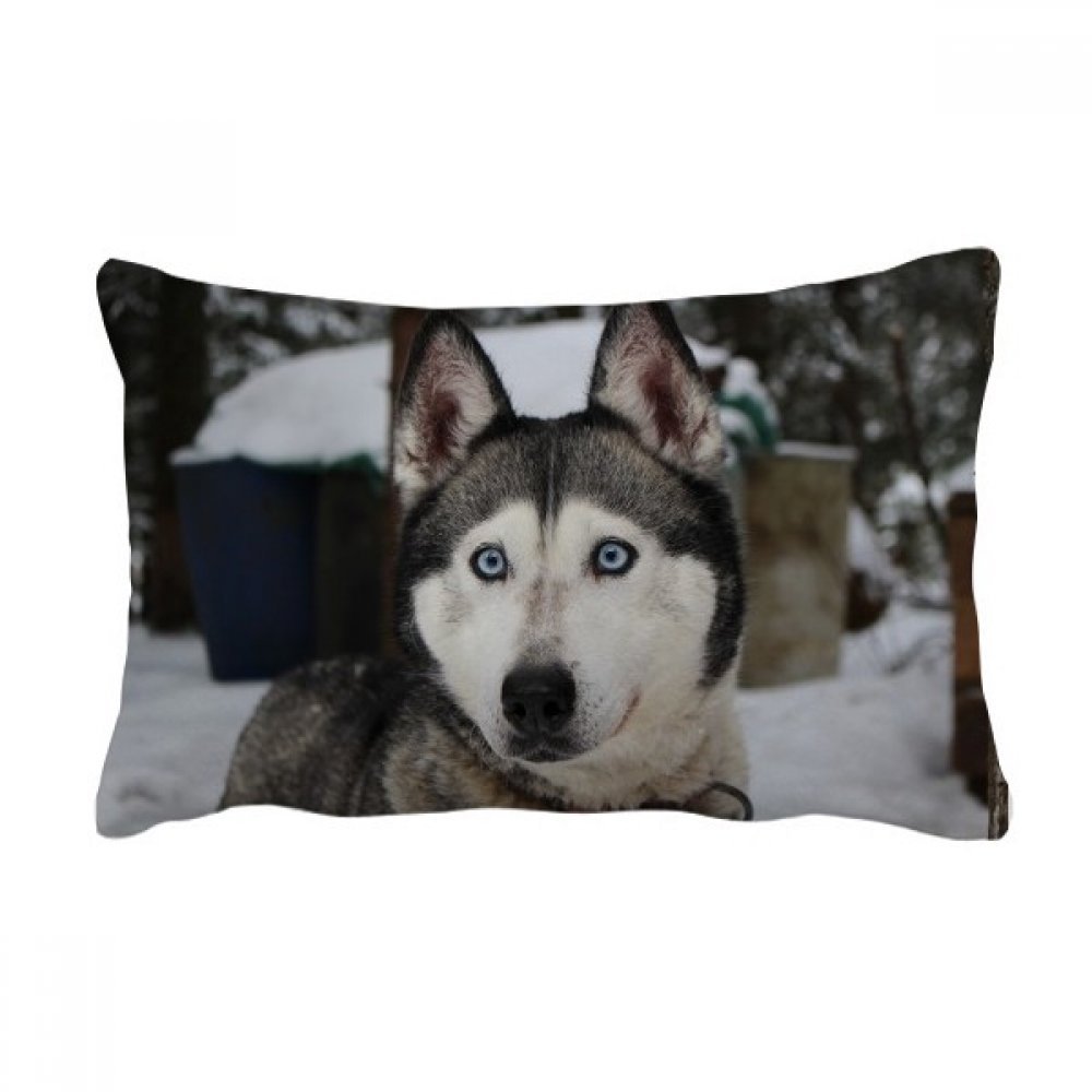 Coussin Husky neige imprimé oreiller lombaire de salon et décoration maison