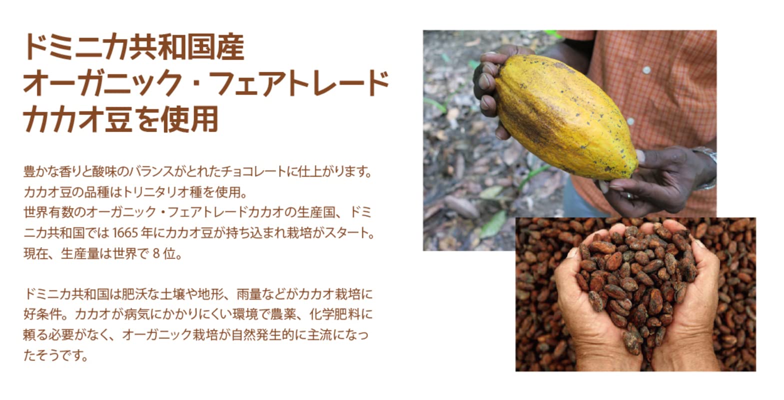 Amazon | チョコレートソール 有機ダークチョコレートパッション