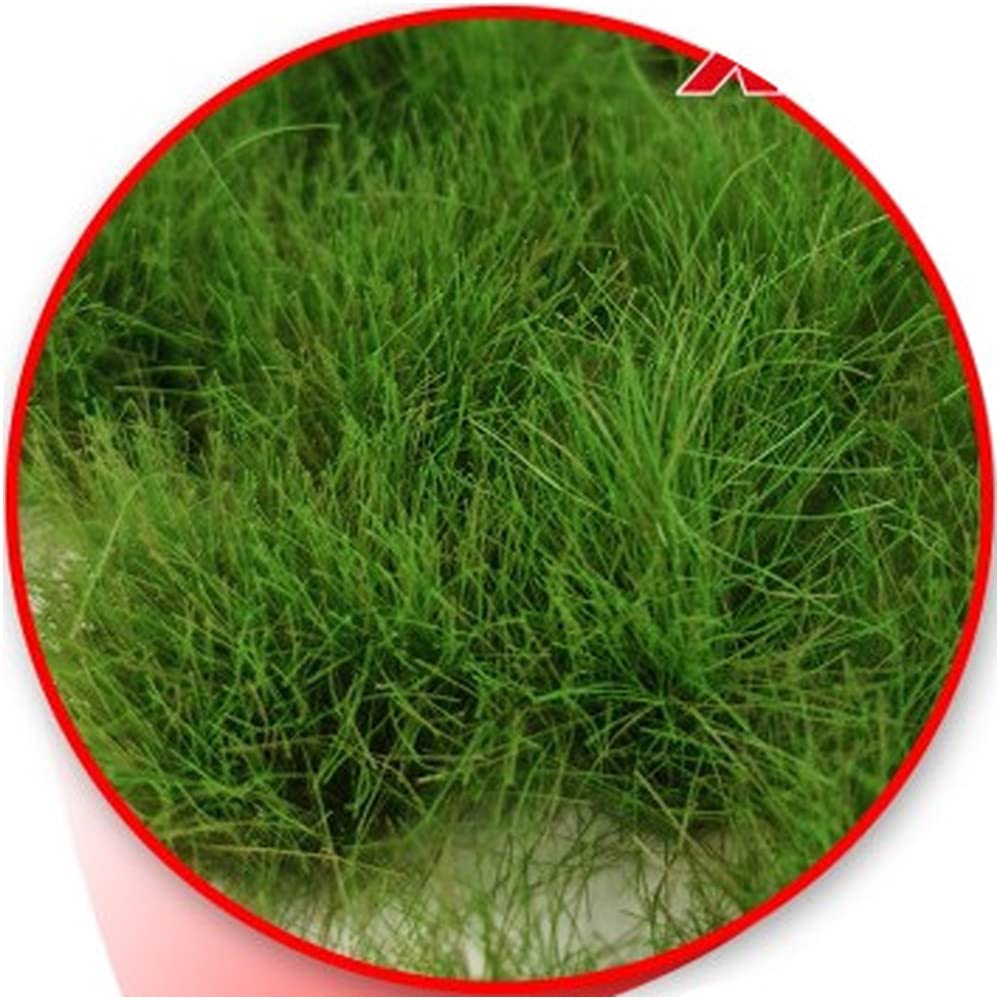 Green Stuff World Light Green 22Mm Grass Tufts Xxl 22Pcs