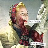 Anne Taintor 40 paper napkins holiday Christmas - Hey, Santa! nice package!